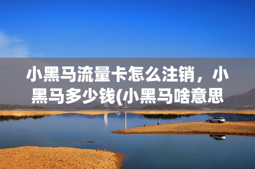 小黑马流量卡怎么注销，小黑马多少钱(小黑马啥意思)