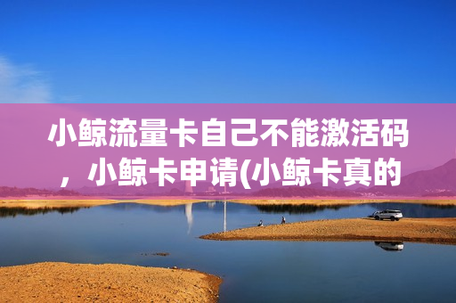 小鲸流量卡自己不能激活码，小鲸卡申请(小鲸卡真的有用吗)