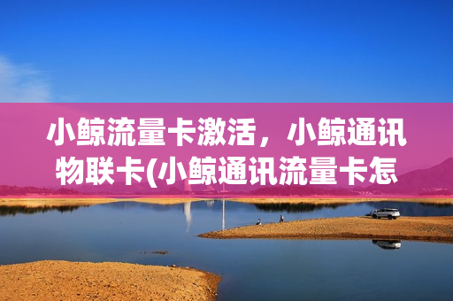 小鲸流量卡激活，小鲸通讯物联卡(小鲸通讯流量卡怎么开通)