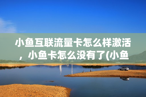 小鱼互联流量卡怎么样激活，小鱼卡怎么没有了(小鱼通信流量卡)