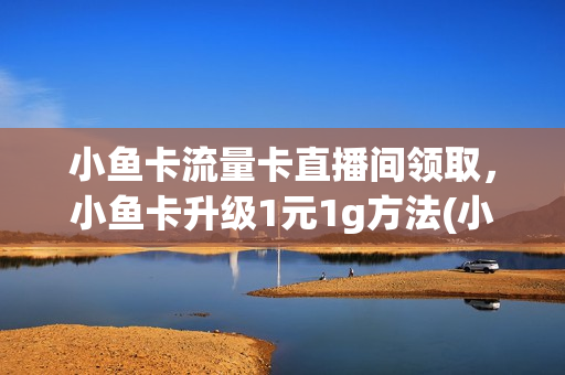 小鱼卡流量卡直播间领取，小鱼卡升级1元1g方法(小鱼卡流量怎么收费的)