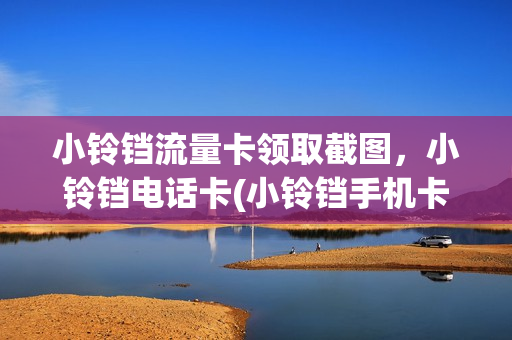 小铃铛流量卡领取截图，小铃铛电话卡(小铃铛手机卡是真的吗)