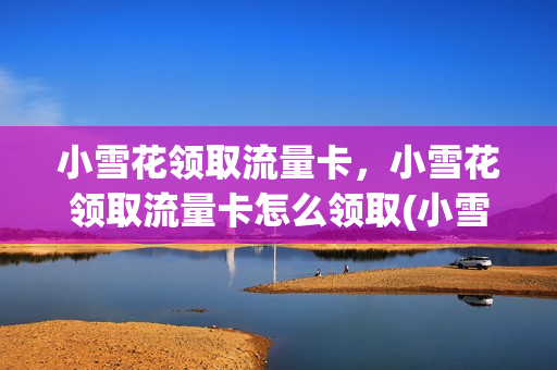 小雪花领取流量卡，小雪花领取流量卡怎么领取(小雪花是什么意思)