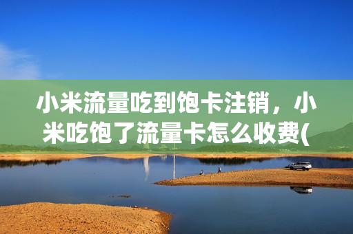小米流量吃到饱卡注销，小米吃饱了流量卡怎么收费(小米吃到饱流量卡怎么取消订单)