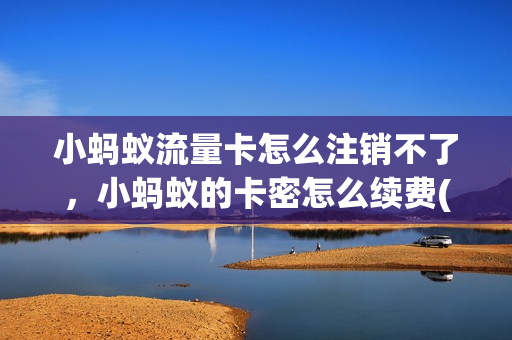 小蚂蚁流量卡怎么注销不了，小蚂蚁的卡密怎么续费(奇瑞小蚂蚁流量卡在什么位置)