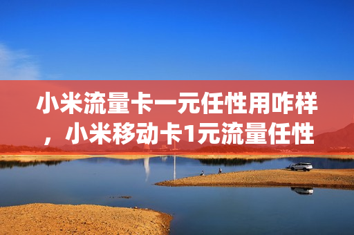 小米流量卡一元任性用咋样，小米移动卡1元流量任性用(小米手机卡一元流量任性用)