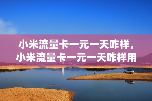 小米流量卡一元一天咋样，小米流量卡一元一天咋样用(小米流量卡1元800)