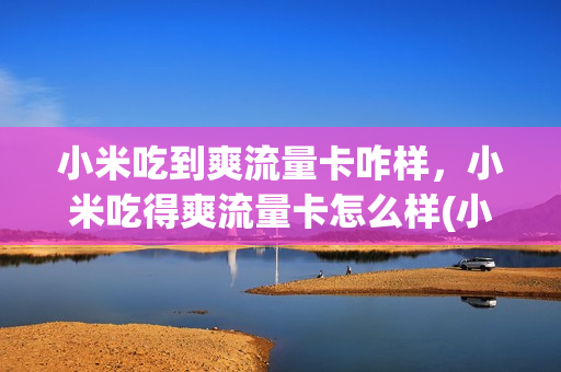 小米吃到爽流量卡咋样，小米吃得爽流量卡怎么样(小米吃到爽39元无限流量是真的吗)