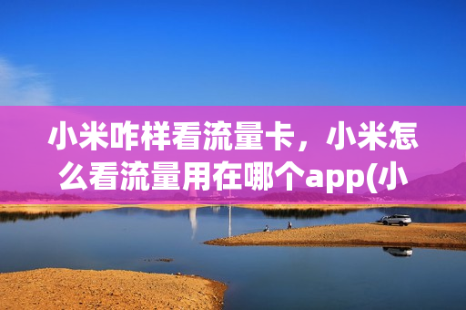 小米咋样看流量卡，小米怎么看流量用在哪个app(小米怎么查看流量用在什么地方)