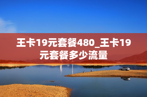 王卡19元套餐480_王卡19元套餐多少流量