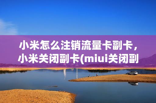 小米怎么注销流量卡副卡，小米关闭副卡(miui关闭副卡流量)