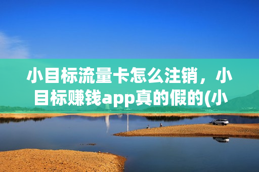 小目标流量卡怎么注销，小目标赚钱app真的假的(小目标网络科技有限公司)