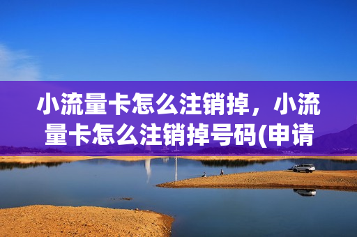 小流量卡怎么注销掉，小流量卡怎么注销掉号码(申请的流量卡怎么注销)
