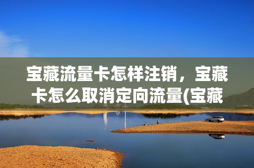 宝藏流量卡怎样注销，宝藏卡怎么取消定向流量(宝藏卡怎么取消套餐)