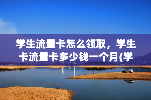 学生流量卡怎么领取，学生卡流量卡多少钱一个月(学生流量卡可以用到多少岁)