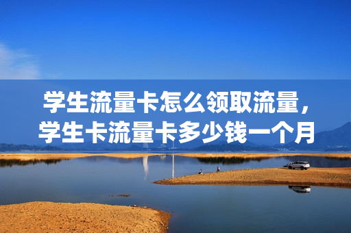 学生流量卡怎么领取流量，学生卡流量卡多少钱一个月(流量学生卡怎么样)