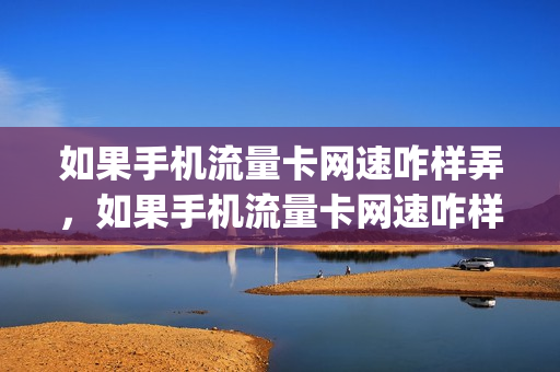 如果手机流量卡网速咋样弄，如果手机流量卡网速咋样弄快一点(手机流量卡怎么提速)