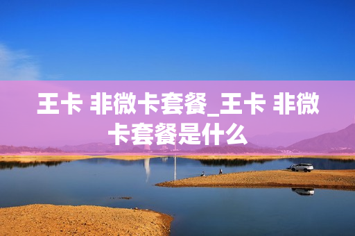王卡 非微卡套餐_王卡 非微卡套餐是什么