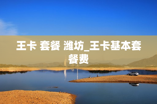 王卡 套餐 潍坊_王卡基本套餐费