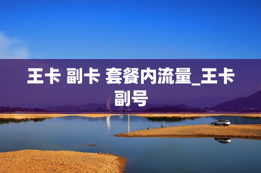 王卡 副卡 套餐内流量_王卡副号