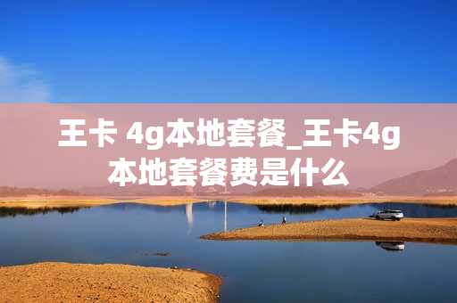 王卡 4g本地套餐_王卡4g本地套餐费是什么