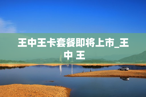 王中王卡套餐即将上市_王 中 王