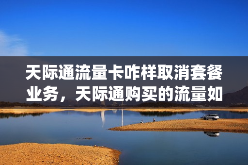 天际通流量卡咋样取消套餐业务，天际通购买的流量如何启用(天际通流量卡怎么办理)