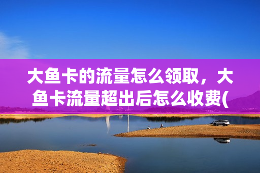 大鱼卡的流量怎么领取，大鱼卡流量超出后怎么收费(大鱼卡超出40g如何收费)
