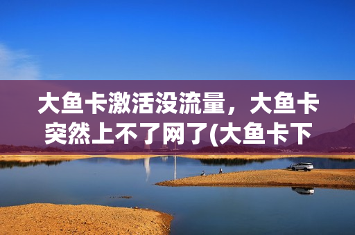 大鱼卡激活没流量，大鱼卡突然上不了网了(大鱼卡下线)