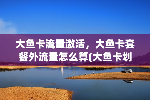 大鱼卡流量激活，大鱼卡套餐外流量怎么算(大鱼卡划算吗)