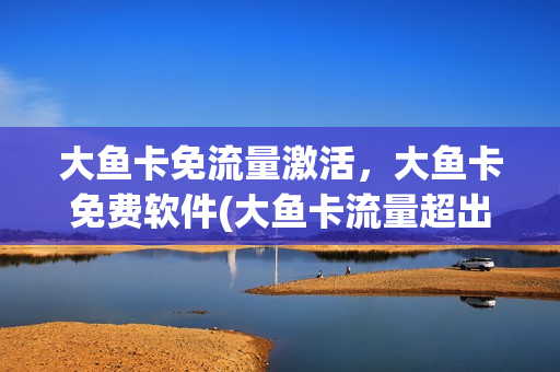 大鱼卡免流量激活，大鱼卡免费软件(大鱼卡流量超出后怎么收费)