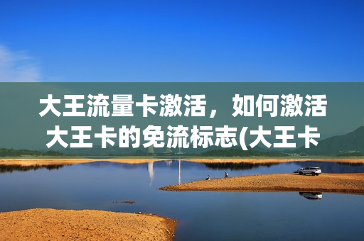 大王流量卡激活，如何激活大王卡的免流标志(大王卡怎么激活免流量服务)