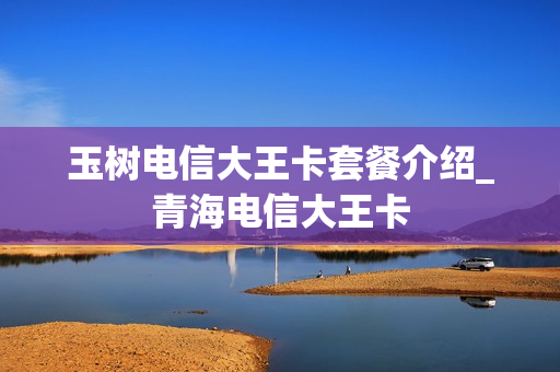 玉树电信大王卡套餐介绍_青海电信大王卡