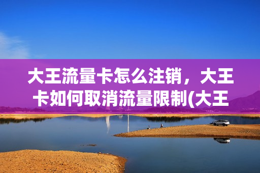 大王流量卡怎么注销，大王卡如何取消流量限制(大王卡流量怎么解除)