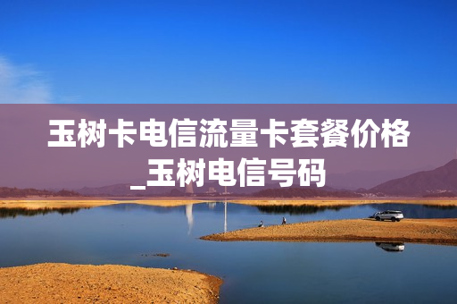 玉树卡电信流量卡套餐价格_玉树电信号码