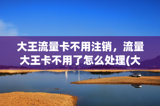 大王流量卡不用注销，流量大王卡不用了怎么处理(大王卡流量停了怎么弄继续使用)