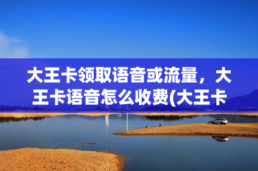 大王卡领取语音或流量，大王卡语音怎么收费(大王卡领取语音或流量,大王卡语音怎么收费呢)
