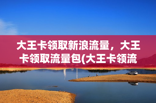 大王卡领取新浪流量，大王卡领取流量包(大王卡领流量怎么领)