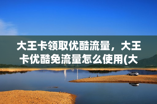大王卡领取优酷流量，大王卡优酷免流量怎么使用(大王卡优酷免流量播放吗)