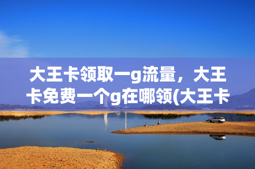 大王卡领取一g流量，大王卡免费一个g在哪领(大王卡领1g)