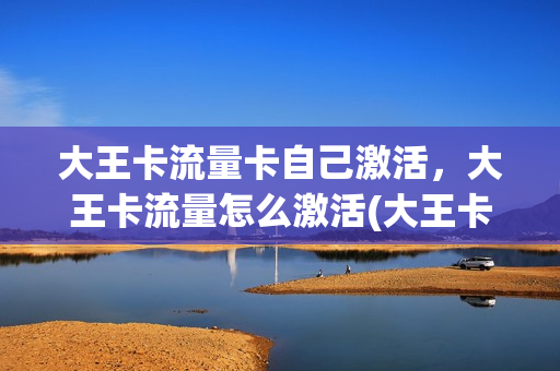 大王卡流量卡自己激活，大王卡流量怎么激活(大王卡手动激活免流量程序)