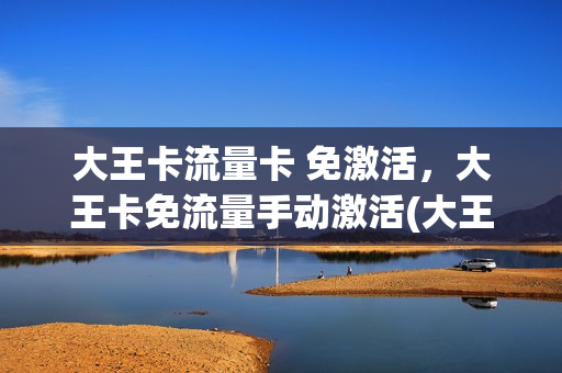 大王卡流量卡 免激活，大王卡免流量手动激活(大王卡免流量应用怎么激活)