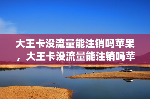 大王卡没流量能注销吗苹果，大王卡没流量能注销吗苹果13(大王卡没流量了还能免流吗)