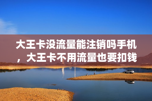 大王卡没流量能注销吗手机，大王卡不用流量也要扣钱吗(大王卡不用是不是就不收费)