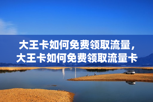 大王卡如何免费领取流量，大王卡如何免费领取流量卡(大王卡怎样免费领取流量)
