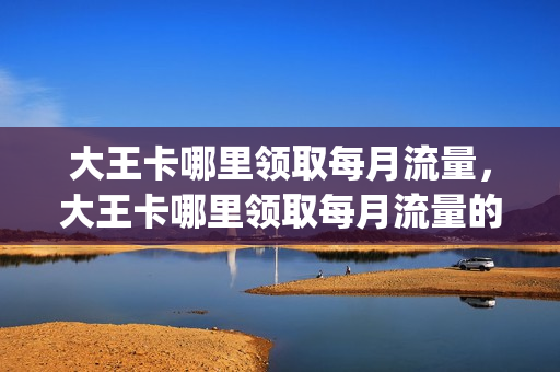 大王卡哪里领取每月流量，大王卡哪里领取每月流量的(大王卡哪里可以领流量)