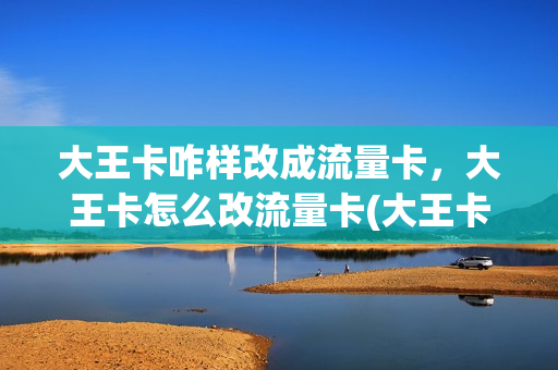 大王卡咋样改成流量卡，大王卡怎么改流量卡(大王卡可以改为流量卡吗)