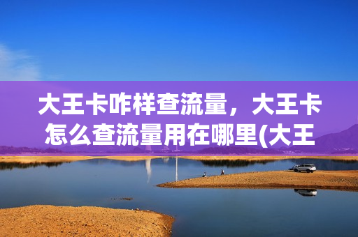 大王卡咋样查流量，大王卡怎么查流量用在哪里(大王卡怎么查流量余额)