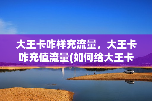 大王卡咋样充流量，大王卡咋充值流量(如何给大王卡充流量)