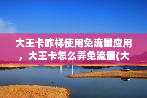 大王卡咋样使用免流量应用，大王卡怎么弄免流量(大王卡如何开启免流量)